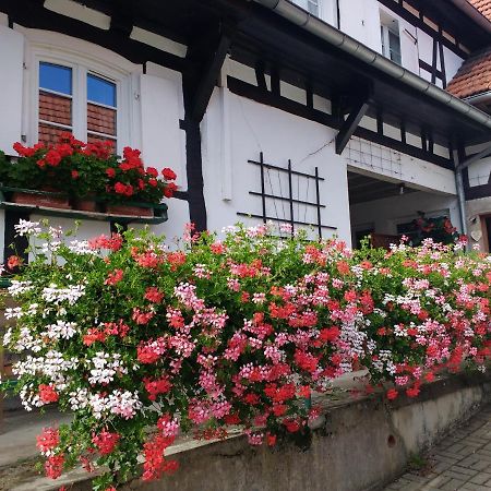 Gite Rue De L'Ange Hunspach Kültér fotó