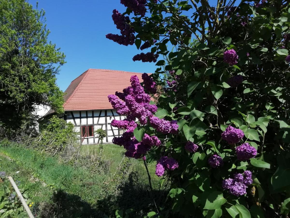 Gite Rue De L'Ange Hunspach Kültér fotó