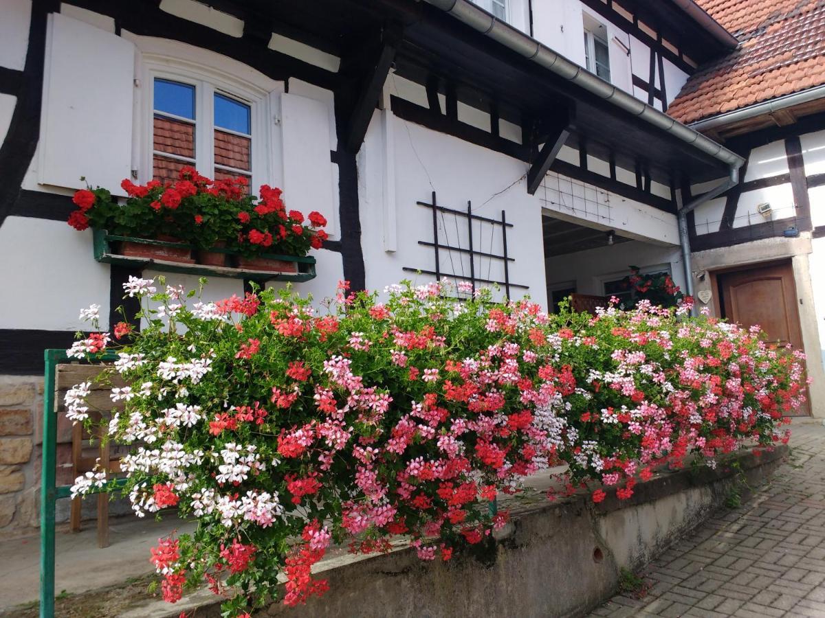 Gite Rue De L'Ange Hunspach Kültér fotó