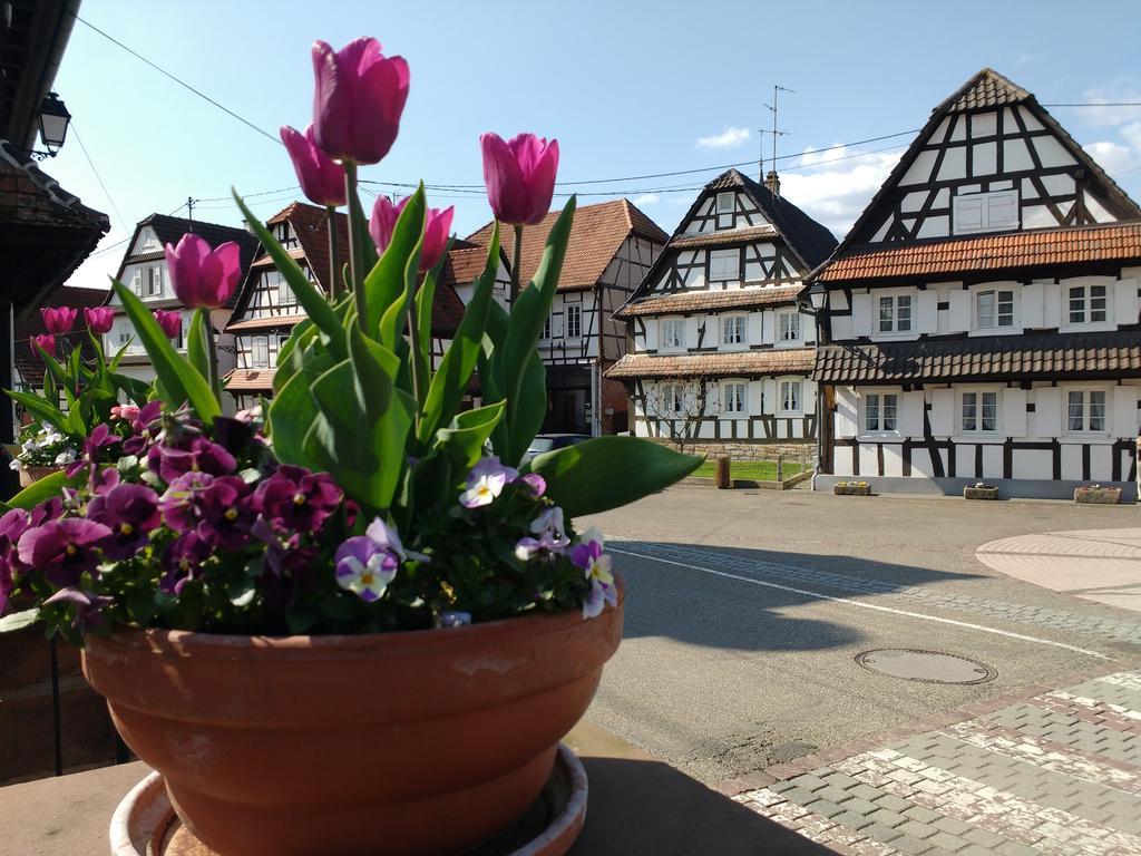 Gite Rue De L'Ange Hunspach Kültér fotó